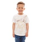 Camiseta-Infantil-Espirito-Santo-menino-frente