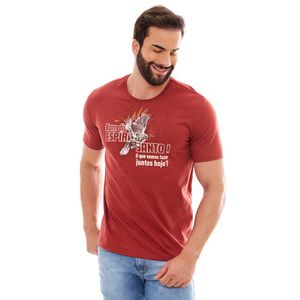 Camiseta Espírito Santo DV12587